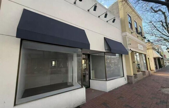 Plus de détails pour 42 Middle Neck Rd, Great Neck, NY - Bureau/Commerce de détail à louer