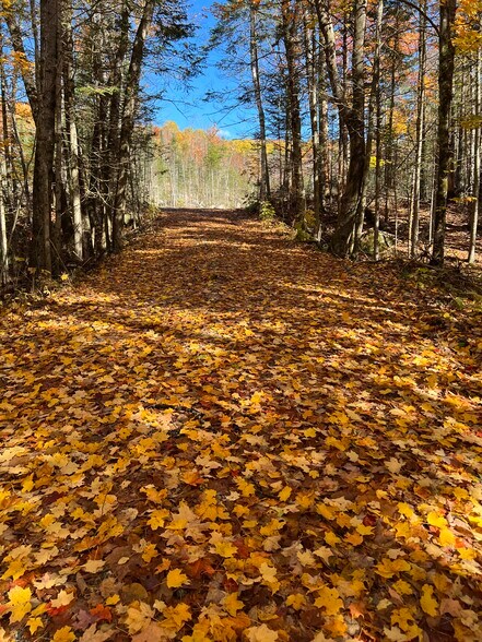 370 Route 3 N, Carroll, NH à vendre - Photo du bâtiment - Image 3 de 5