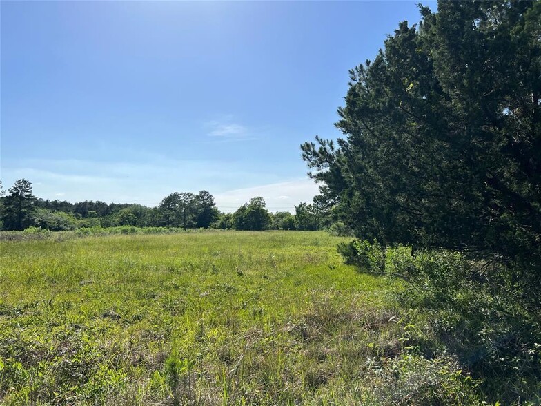 TBD Moonshine Hill Road, Humble, TX for sale - Primary Photo - Image 3 of 5