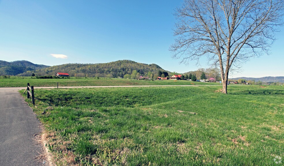 7911 E Lamar Alexander Pky, Townsend, TN à vendre - Photo du bâtiment - Image 2 de 4