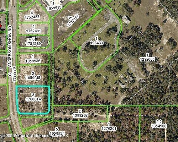 00 Anderson Snow Rd, Spring Hill, FL à vendre - Photo du bâtiment - Image 2 de 4