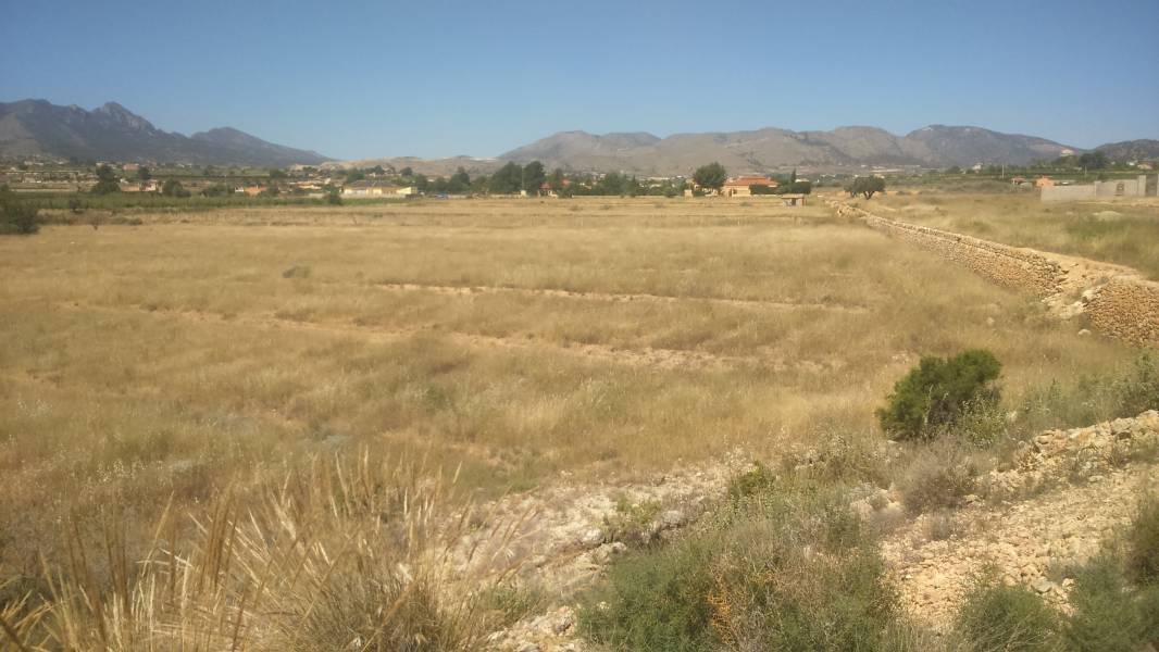 Terrain dans Novelda, Alicante à vendre Plan de site- Image 1 de 3