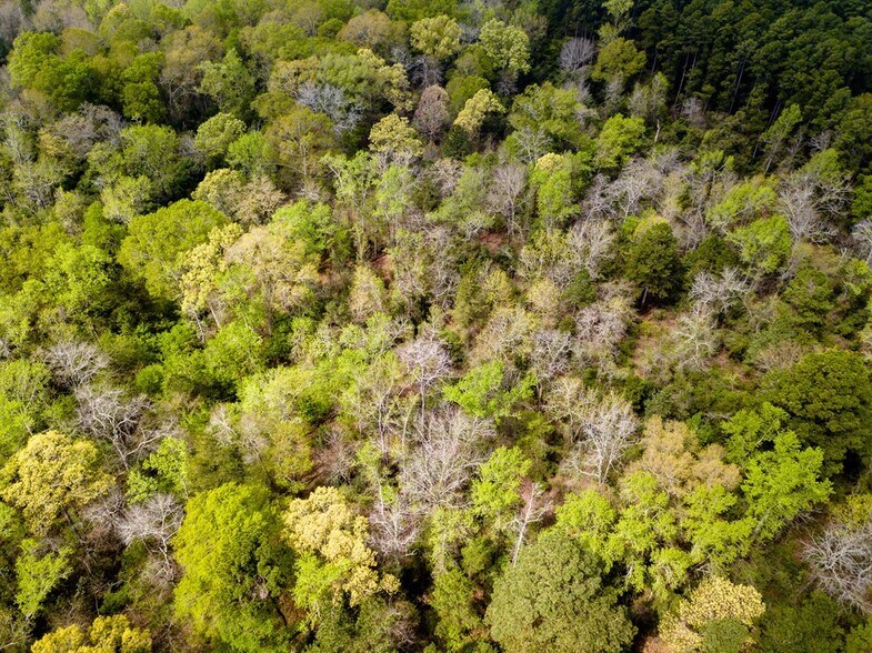 25.4 ac W Austin Street w, Nacogdoches, TX à vendre - Photo du bâtiment - Image 3 de 9