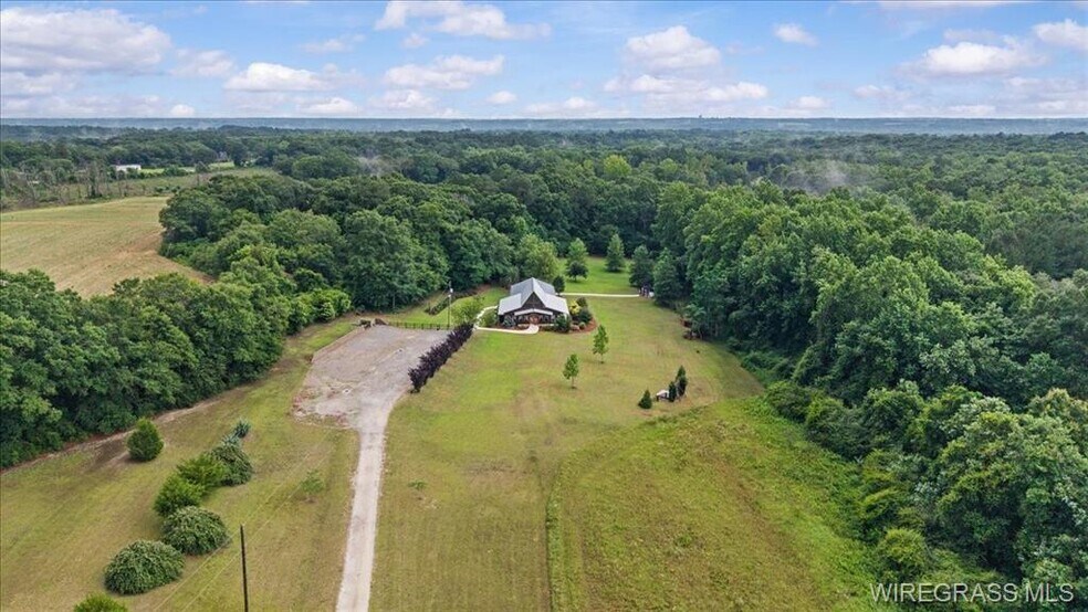 4950 S County Road 20, Ozark, AL à vendre - Photo du bâtiment - Image 2 de 43