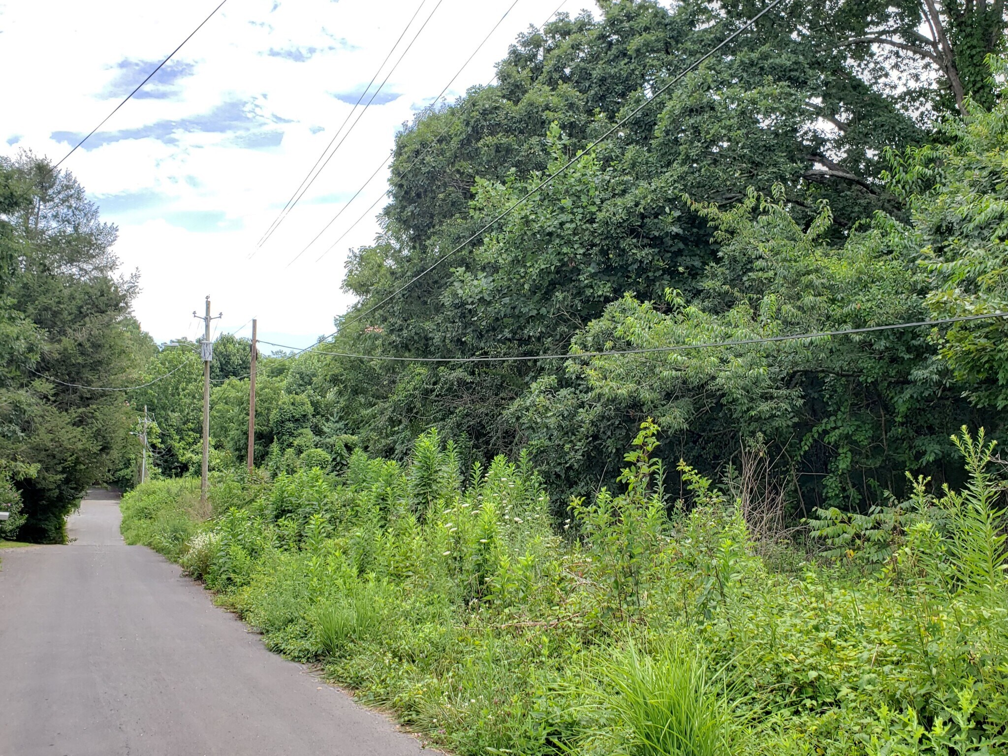 548 Caribou Rd, Asheville, NC à vendre Photo principale- Image 1 de 7