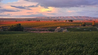 Plus de détails pour 125498 W Mccreadie Rd, Prosser, WA - Terrain à vendre