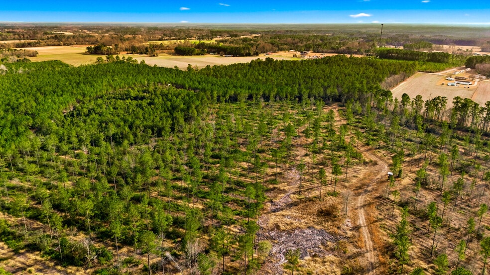 Unnamed Rd, Loris, SC for sale - Building Photo - Image 3 of 23