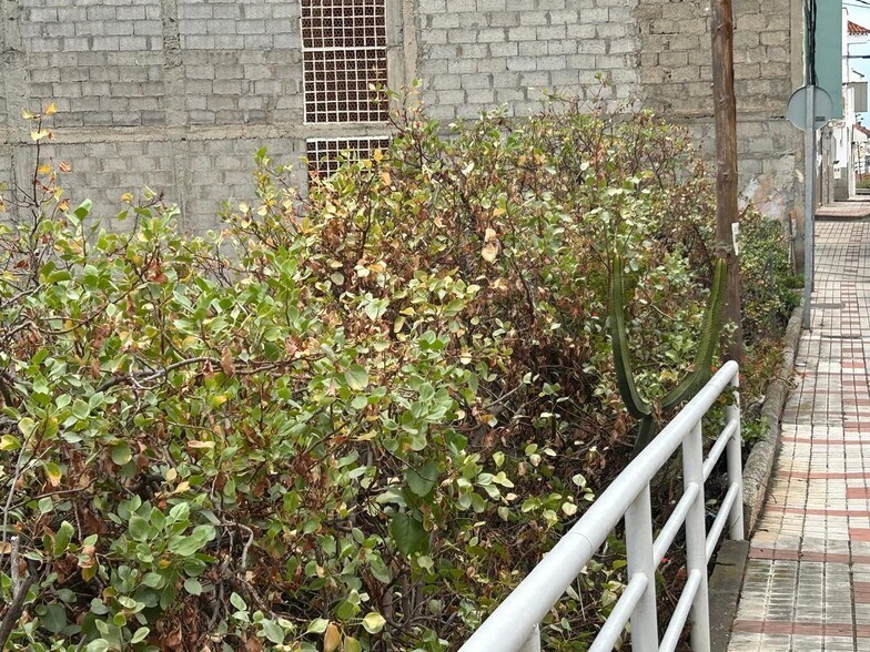 Calle Cieguita de Lugarejo, 11, Las Palmas de Gran Canaria, Las Palmas à vendre - Photo du bâtiment - Image 3 de 12