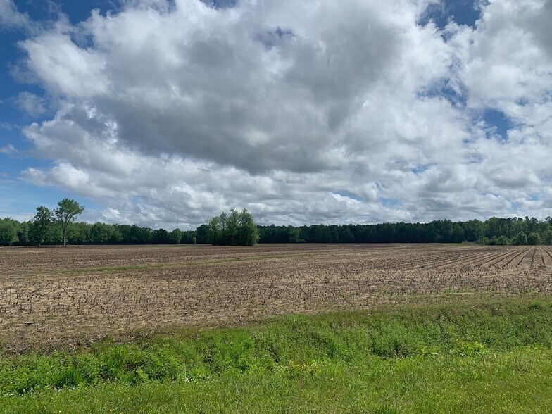 492 Doc Henderson Rd, Maxton, NC à vendre - Autre - Image 3 de 24