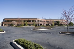 Wyomissing Professional Center - 999 - Garderie