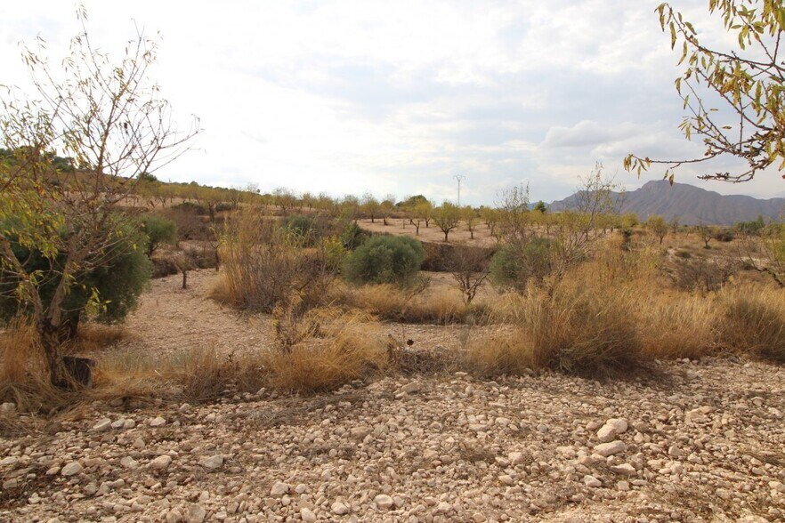 Land in Hondón de los Frailes, Alicante for sale - Site Plan - Image 1 of 2