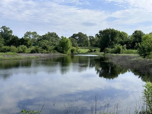 2096 FM 21, Pittsburg, TX for sale - Building Photo - Image 3 of 12