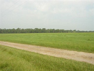Plus de détails pour 13971 George Younce Rd, Foley, AL - Terrain à vendre