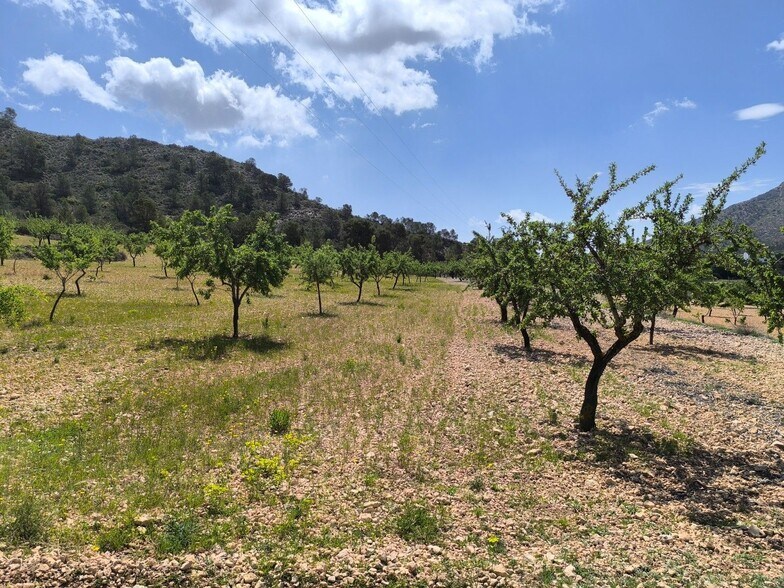 Land in Algueña, Alicante for sale - Primary Photo - Image 2 of 4
