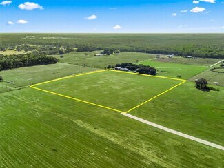 Plus de détails pour County Road 635, Bushnell, FL - Terrain à vendre