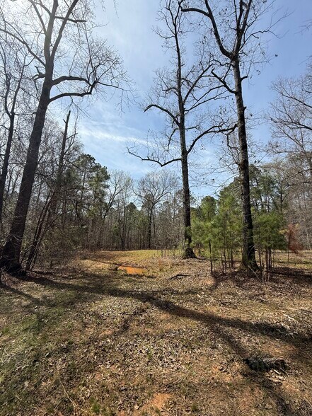 Sugar Creek Trail, Buckhead Morgan, GA à vendre - Photo du bâtiment - Image 3 de 8