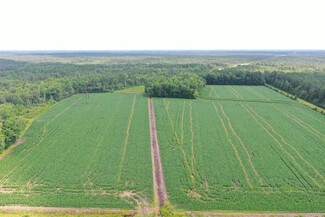 Plus de détails pour TBD Pelham Rd, Watha, NC - Terrain à vendre