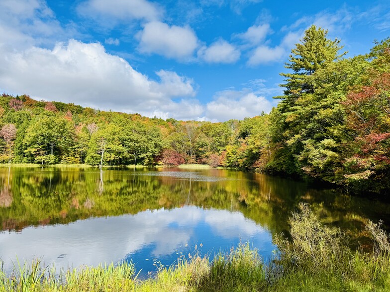 421 Ford Hill Rd, Hunter, NY for sale - Building Photo - Image 1 of 31