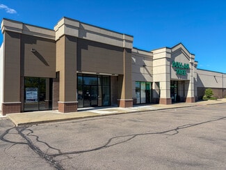 More details for 13255 15 Mile Rd, Sterling Heights, MI - Retail for Lease