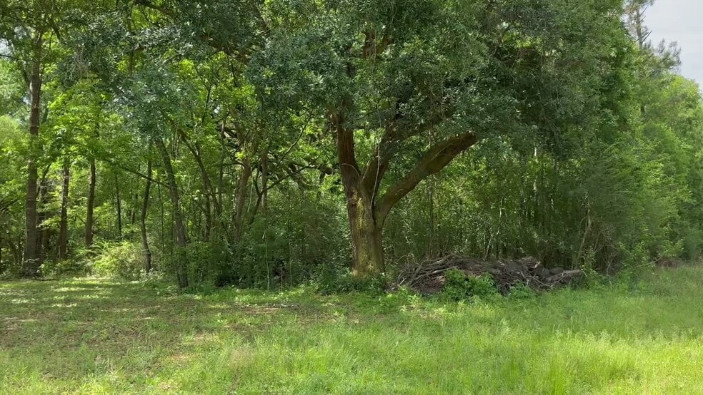 0 Wilmer, Wilmer, AL for sale - Commercial Listing Video - Image 3 of 55