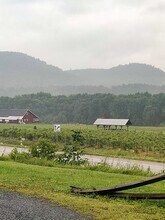 286 Old Route 15, Cambridge, VT for lease Interior Photo- Image 2 of 19