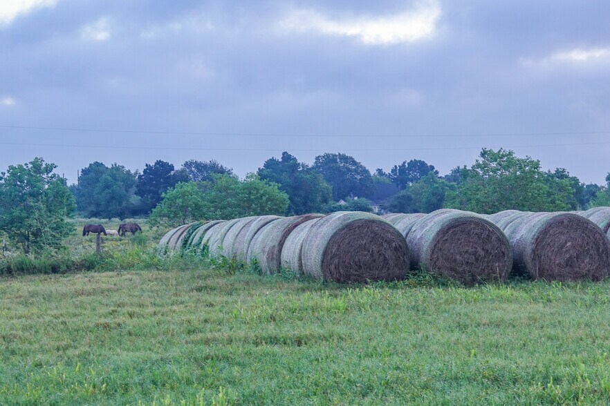 14134 Penick Rd, Waller, TX for sale - Other - Image 3 of 22