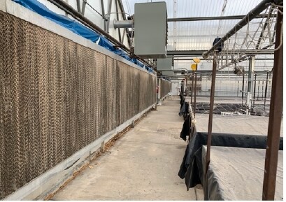 806 N 2nd St, Berthoud, CO à louer - Photo intérieure - Image 2 de 3