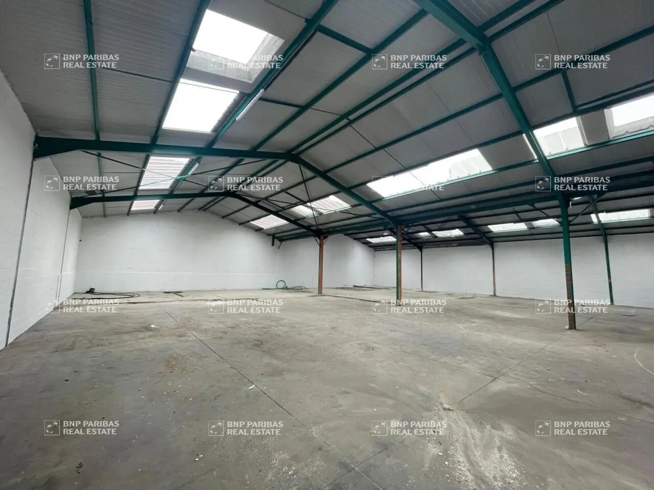 Flex in Wasquehal for lease Interior Photo- Image 1 of 5
