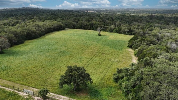 742 Red Rock Ranch Rd, Red Rock, TX à vendre - Photo du bâtiment - Image 3 de 40