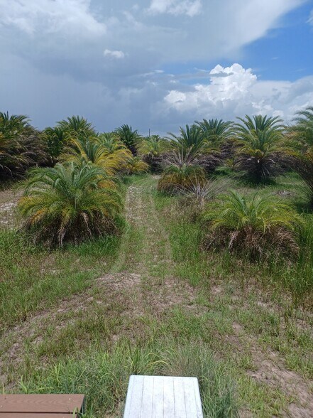 46515 State Road 64 E, Myakka City, FL à vendre - Photo du bâtiment - Image 2 de 12