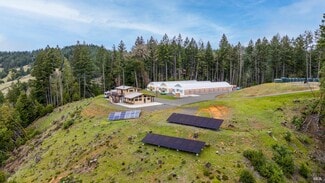 Plus de détails pour 3691 Blackhawk Dr, Willits, CA - Terrain à vendre
