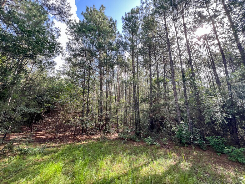 00 FM 2793, New Waverly, TX à vendre - Photo du bâtiment - Image 2 de 13