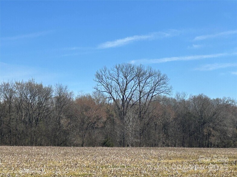 Intersection Falls Rd and Bridgewater rd, Rock Hill, SC à vendre - Plan de site - Image 3 de 8