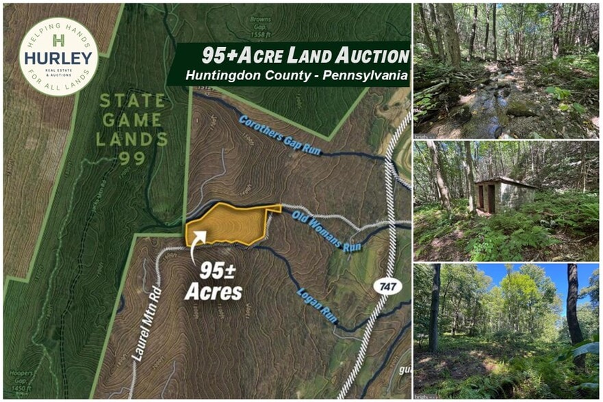 0 Laurel Mountain Rd, Three Springs, PA à vendre - Photo principale - Image 1 de 7