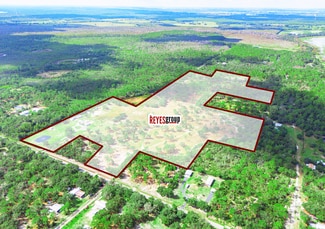 More details for 2439 Rosalie Lake Rd, Lake Wales, FL - Land for Sale