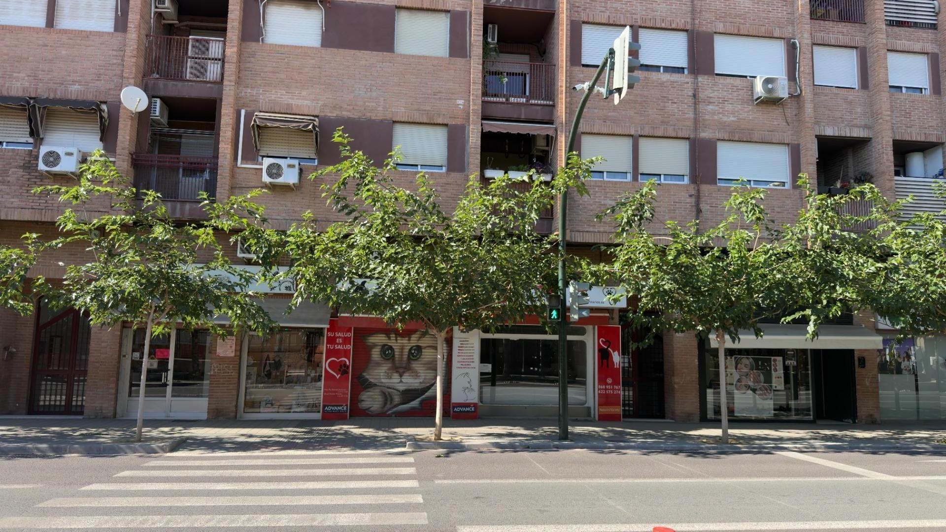 Calle del Pintor Pedro Flores, 21, Murcia, Murcia à vendre Photo principale- Image 1 de 28