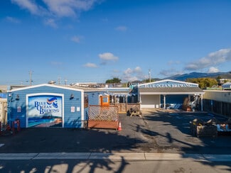 Plus de détails pour 313-323 Princeton Ave, Half Moon Bay, CA - Industriel à vendre