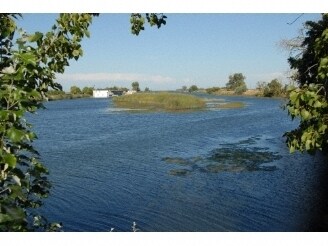 Holland Tract Rd, Knightsen, CA à vendre - Photo principale - Image 1 de 5