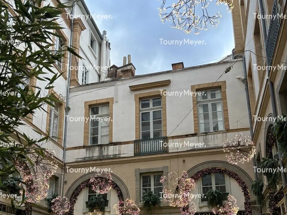 9 Rue Saint Antoine Du T, Toulouse à louer Photo du bâtiment- Image 1 de 3