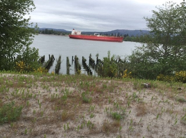 93893 Clifton Rd, Westport, OR for lease - Building Photo - Image 3 of 6