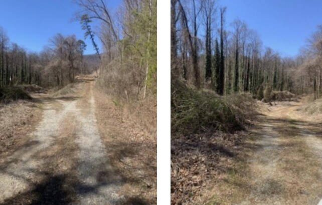 0 Main St, Clayton, GA à vendre - Autre - Image 2 de 4