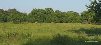 Plus de détails pour 28826 FM 1462 Rd, Damon, TX - Terrain à louer