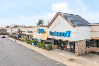 More details for 610 Broadhollow Rd, Melville, NY - Retail for Lease