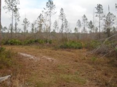US-441 / I-10, Lake City, FL for sale - Building Photo - Image 3 of 3