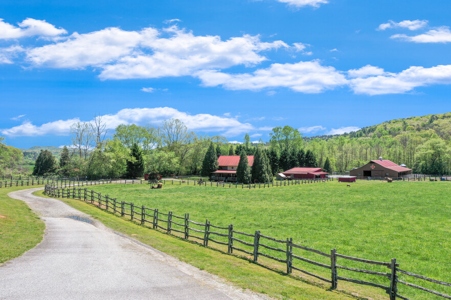 1304 Hwy 17, Sautee Nacoochee, GA à vendre - Photo du bâtiment - Image 1 de 75