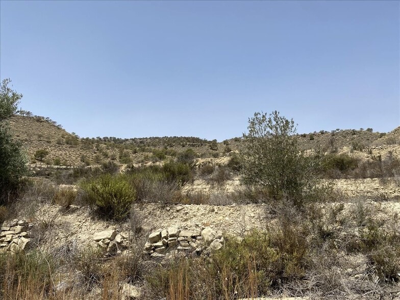 Camino del Algarrobo, 7, Abanilla, Murcia à vendre - Plan de site - Image 3 de 13