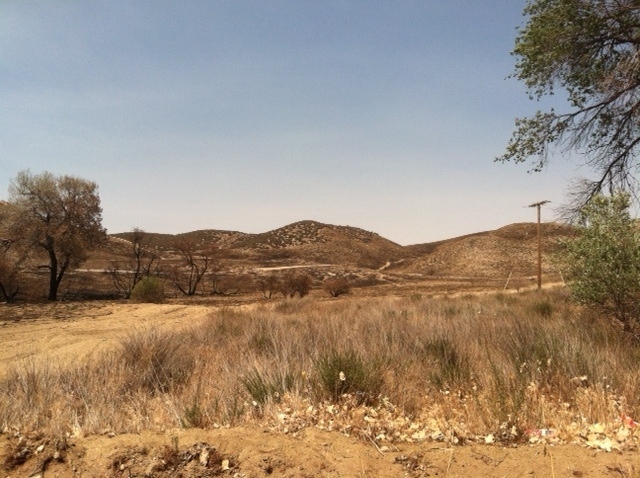 Elizabeth Lake Road & Johnson Rd, Lake Elizabeth, CA for sale - Building Photo - Image 2 of 4