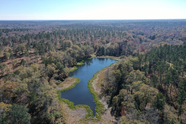 More details for 4433 Pat Thomas Pky, Quincy, FL - Land for Sale