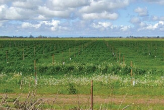 More details for 725 W Wise Rd, Lincoln, CA - Land for Sale