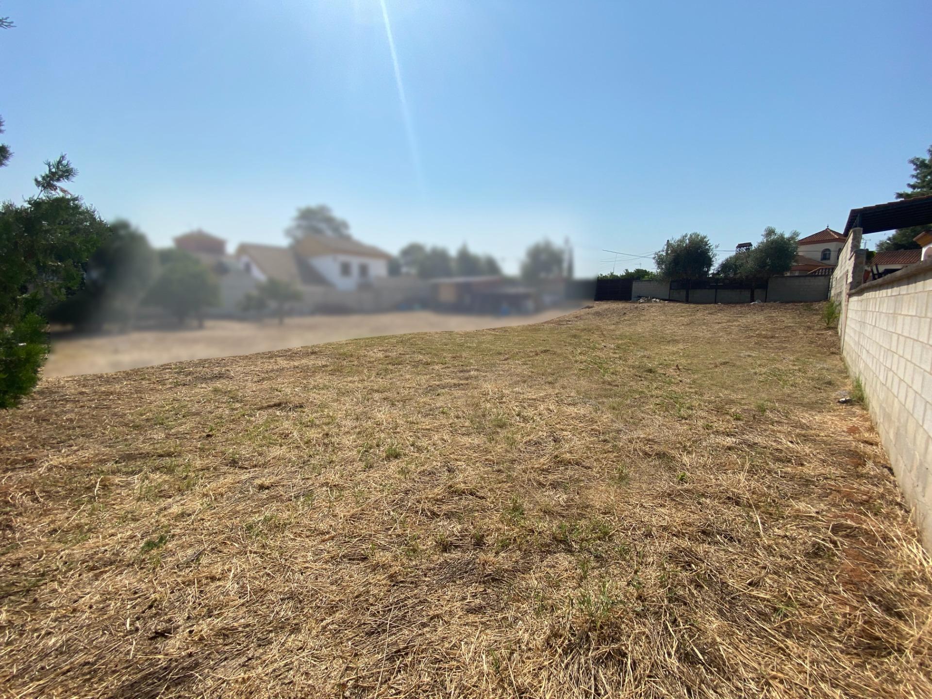 Terrain dans Palomares del Río, Sevilla à vendre Plan de site- Image 1 de 11
